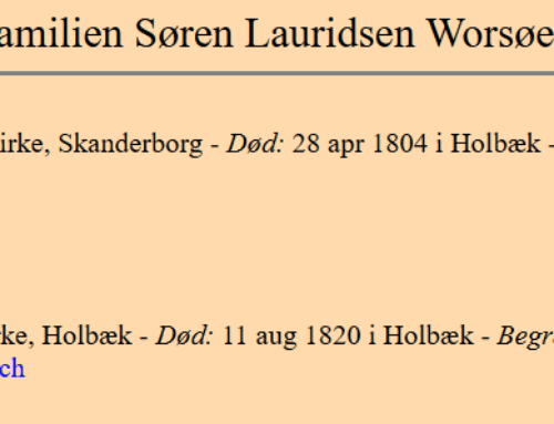 Enken efter to apotekere stod for driften